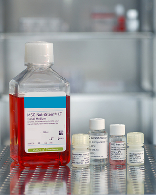 人類間充質(zhì)干細(xì)胞促貼壁試劑(無動物源成分),現(xiàn)貨-產(chǎn)品報價-上海通善生物科技