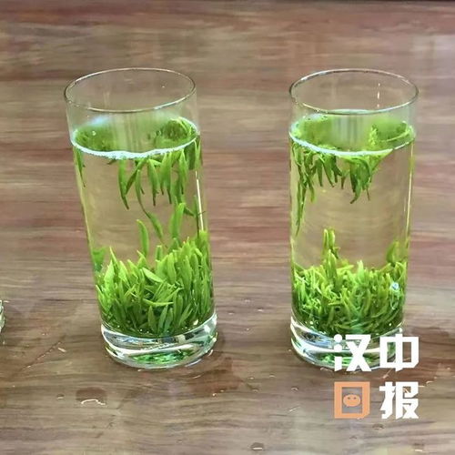 厲害了 漢中這個產(chǎn)業(yè)西北第一