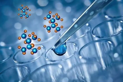 靠夢想支撐估值的行業(yè) 生物科技領(lǐng)域真正的好公司是這幾個