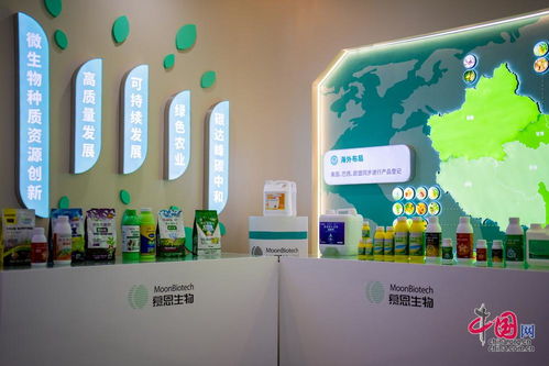 解碼湖南合成生物制造的創(chuàng)新密碼 從產業(yè)布局到企業(yè)實踐的觀察