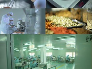 生物科技前沿探索 從微觀機理到宏觀應用的科研高清圖景